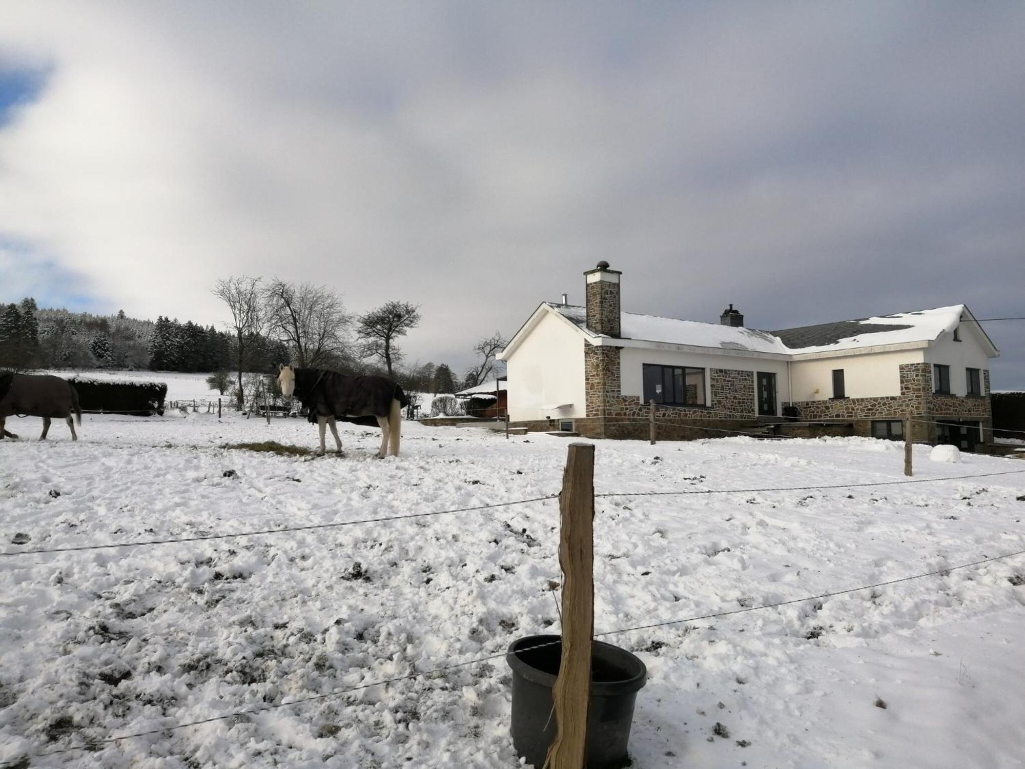Sophisticated Holiday Home In Lierneux Near Forest Zewnętrze zdjęcie